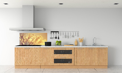 Glasrückwand für die küche Löwenzahnsamen