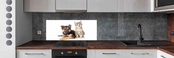 Platte für Küchenrückwand Hund und Katze