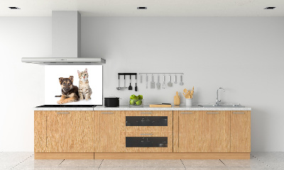 Platte für Küchenrückwand Hund und Katze