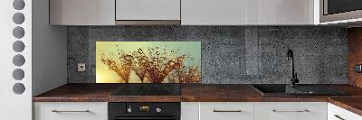 Platte für Küchenrückwand Löwenzahnsamen