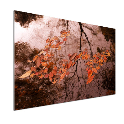 Küchen wandpaneel Blätter auf dem Wasser