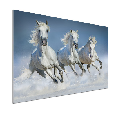 Platte für Küchenrückwand Pferde im Galopp