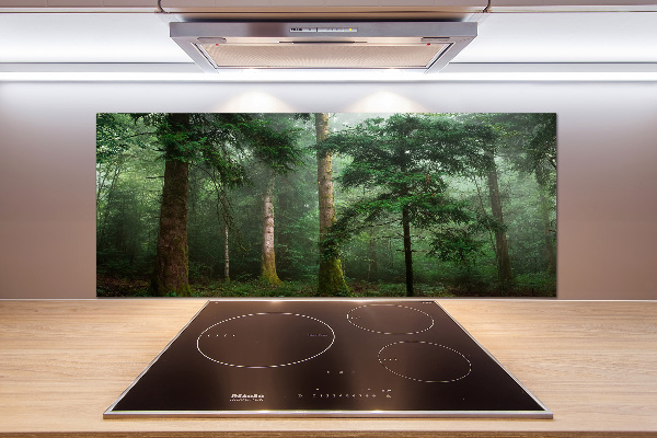 Küchen wandpaneel Nebel im Wald