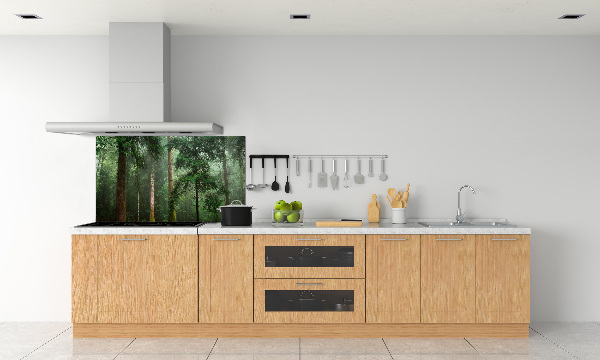 Küchen wandpaneel Nebel im Wald