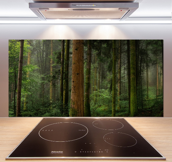 Glasrückwand für die küche Nebel im Wald