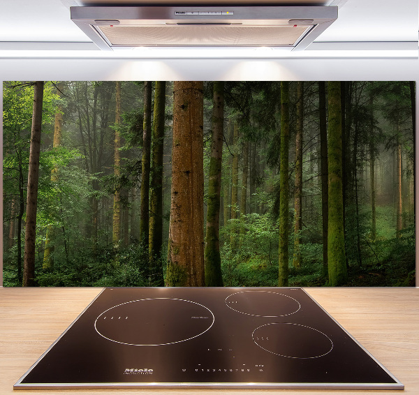 Glasrückwand für die küche Nebel im Wald