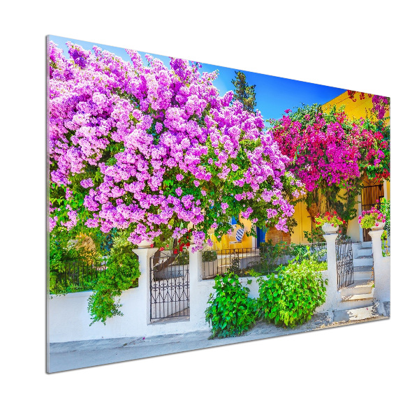 Küchen wandpaneel Haus mit Bougainvillea