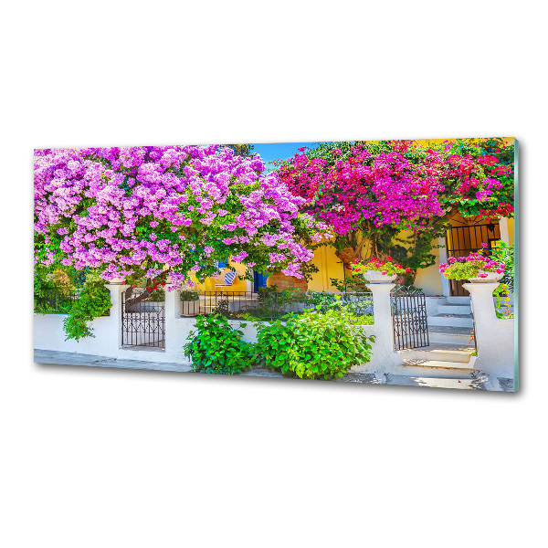 Küchen wandpaneel Haus mit Bougainvillea