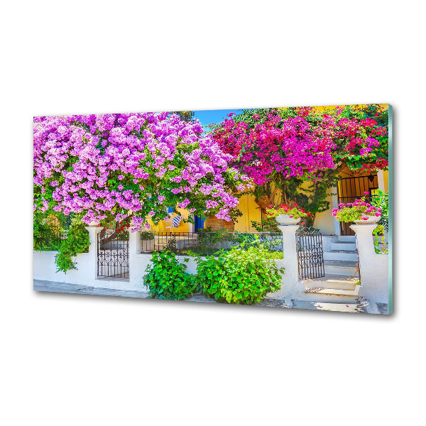 Küchen wandpaneel Haus mit Bougainvillea