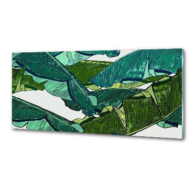 Glasrückwand für die küche Bananenblätter