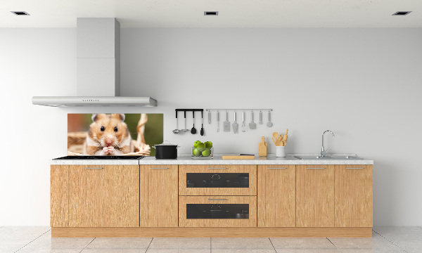 Glasrückwand für die küche Hamster im Korb