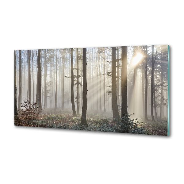 Küchen wandpaneel Nebel im Wald