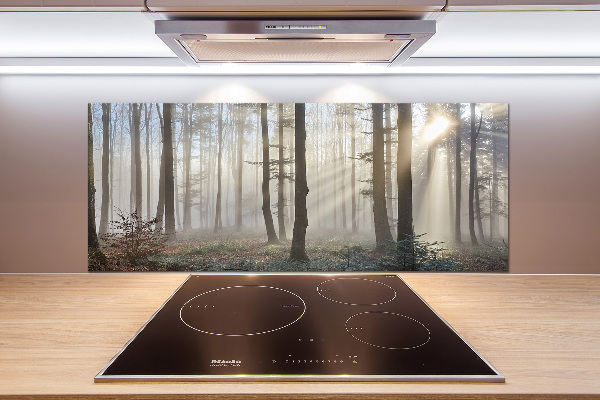 Küchen wandpaneel Nebel im Wald