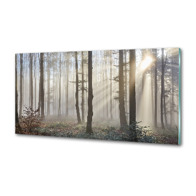 Küchen wandpaneel Nebel im Wald