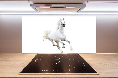 Platte für Küchenrückwand Weißes Araberpferd