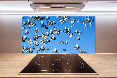 Küchen wandpaneel Ein Schwarm Tauben