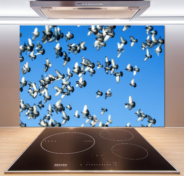 Küchen wandpaneel Ein Schwarm Tauben
