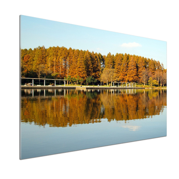 Küchen wandpaneel Wald am See