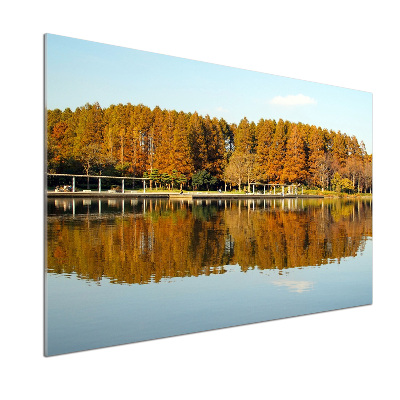 Küchen wandpaneel Wald am See