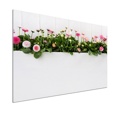 Glasrückwand für die küche Rosa Gänseblümchen