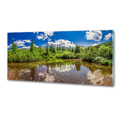 Glasrückwand für die küche See im Wald