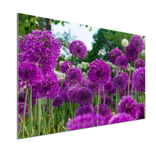 Glasrückwand für die küche Knoblauchblüten