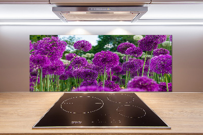 Glasrückwand für die küche Knoblauchblüten