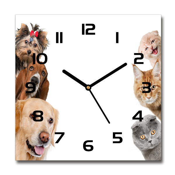 Wanduhr quadratisch Hunde und Katzen