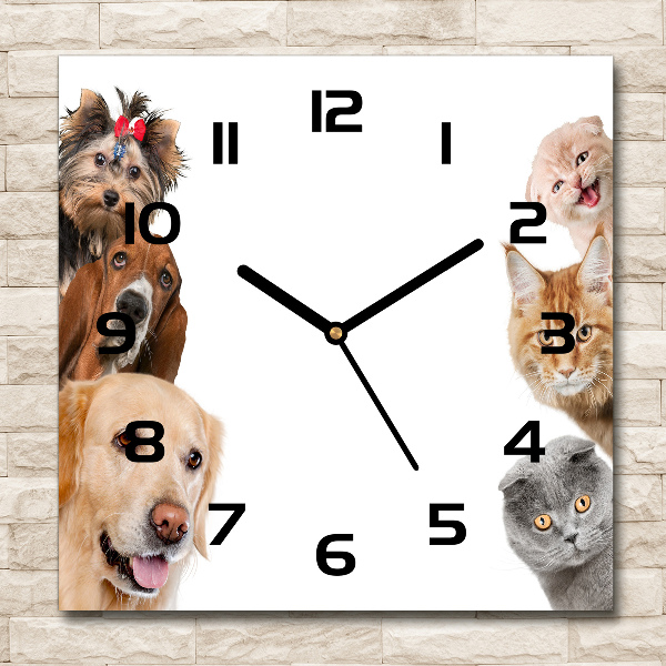 Wanduhr quadratisch Hunde und Katzen