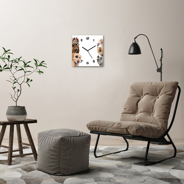 Wanduhr quadratisch Hunde und Katzen