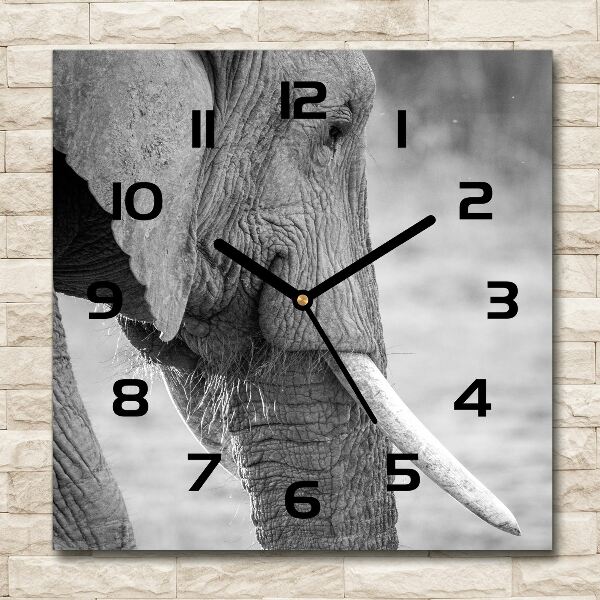 Wanduhr modern quadratisch Elefant