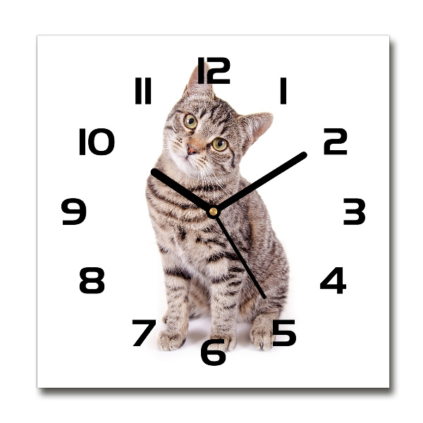 Wanduhr quadratisch Katze