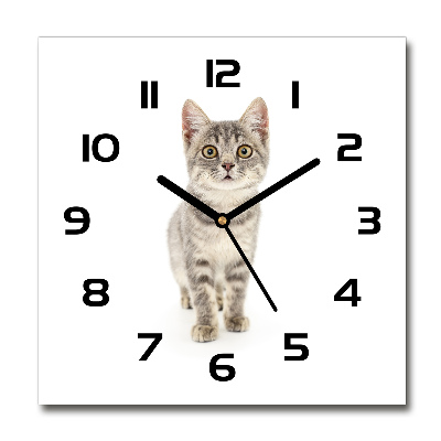 Wanduhr modern quadratisch Graue Katze