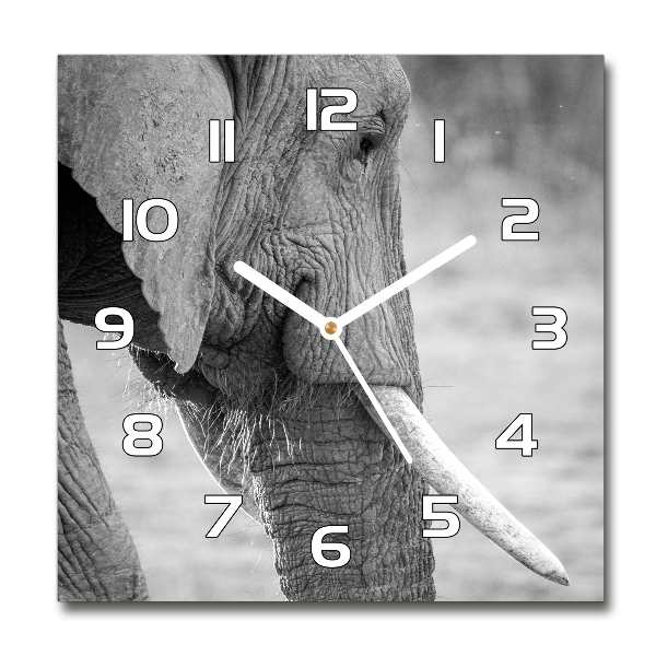 Wanduhr quadratisch Elefant