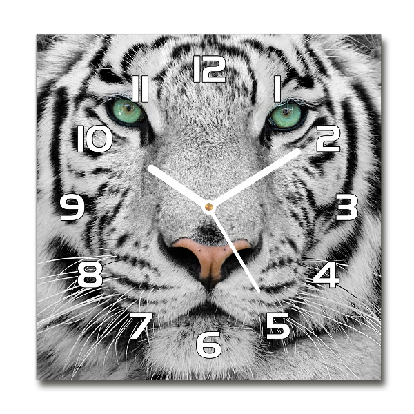 Wanduhr quadratisch Weißer Tiger