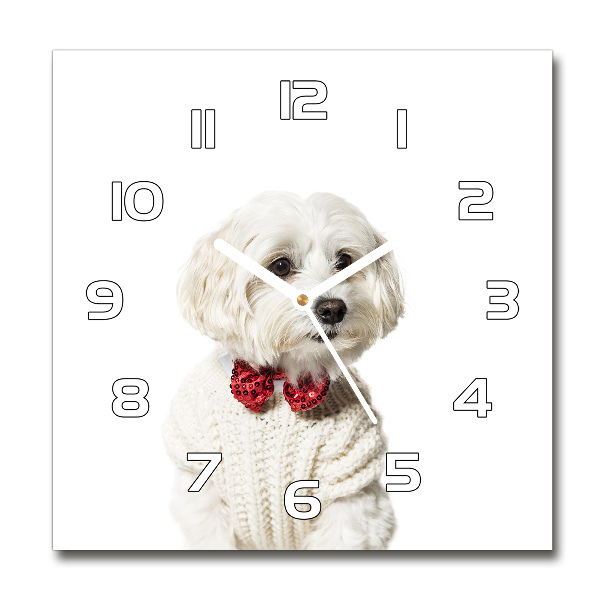 Wanduhr quadratisch Malteser mit Fliege