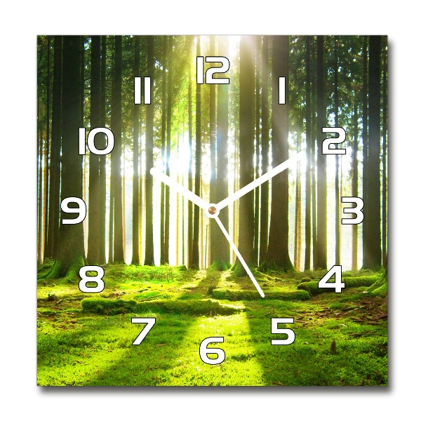 Wanduhr modern quadratisch Wald in der Sonne