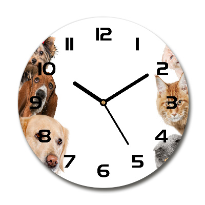 Wanduhr glas rund Hunde und Katzen