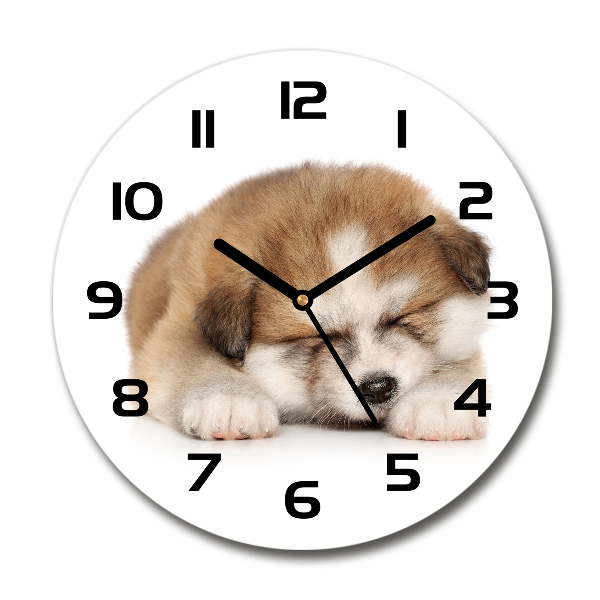 Wanduhr glas rund Akita-Welpe