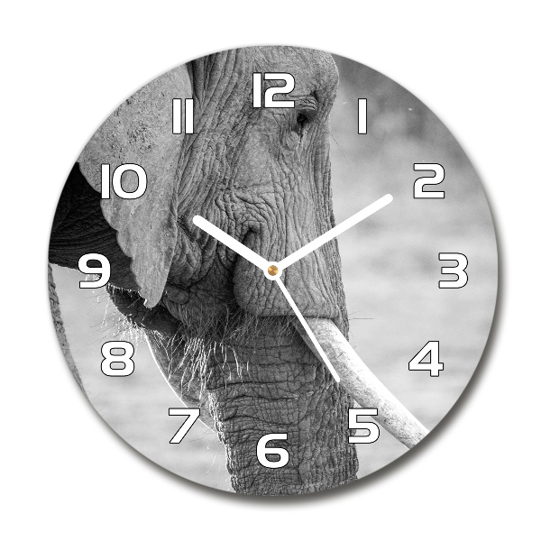 Wanduhr glas rund Elefant