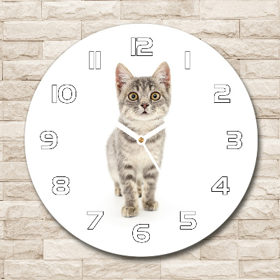 Wanduhr glas rund Graue Katze