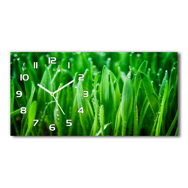 Horizontale Uhr Gras
