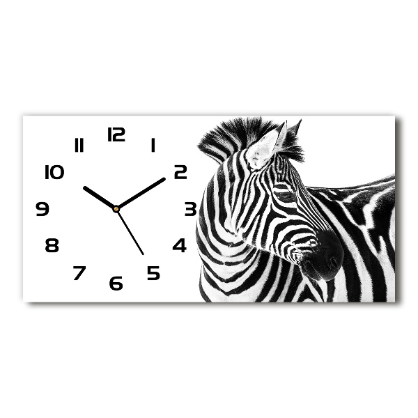 Horizontale Uhr Zebra im Schnee