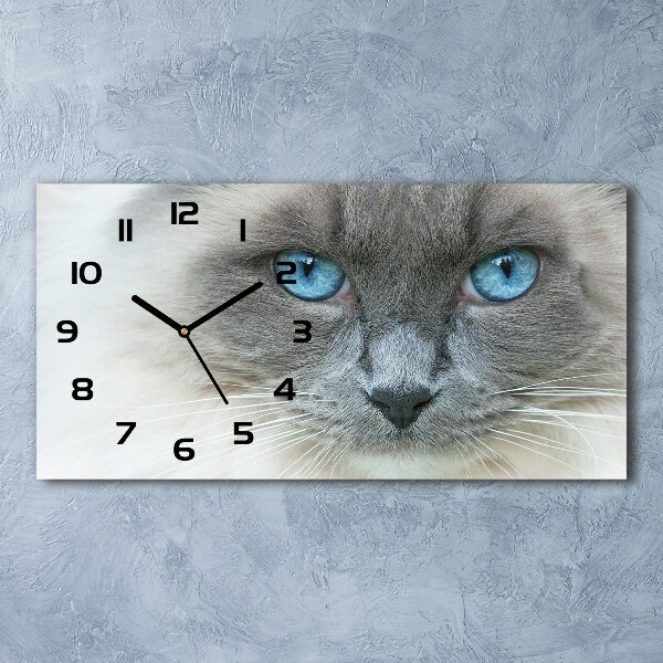 Horizontale Uhr blauäugige Katze