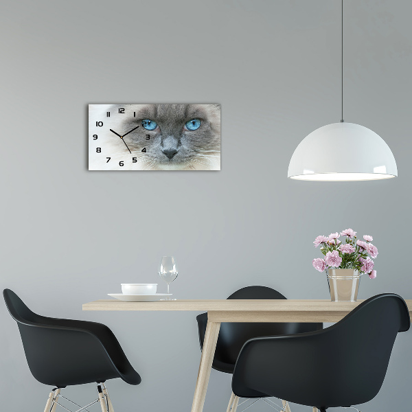 Horizontale Uhr blauäugige Katze