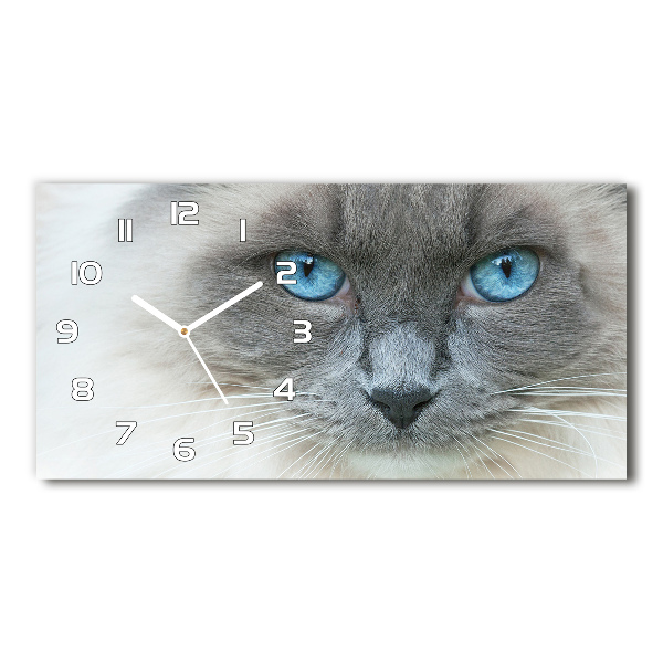 Horizontale Uhr blauäugige Katze