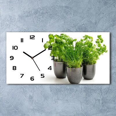 Moderne wanduhr Kräuter in Töpfen