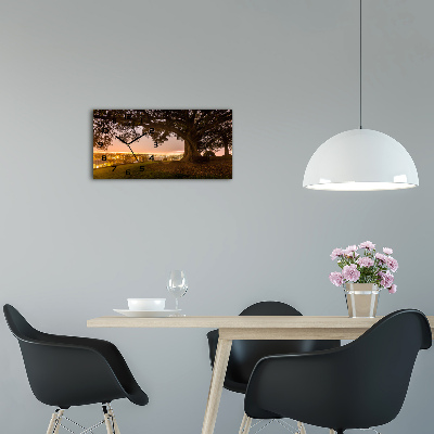 Moderne wanduhr Alter Baum