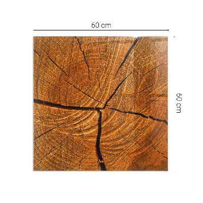 Rechteckige Glasplatte für Kaminofen Holz im Querschnitt mit natürlicher Maserung