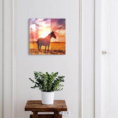 Schlüsselbox mit Motiv Pferd in der Sonne